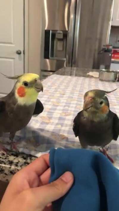 This is a private recital