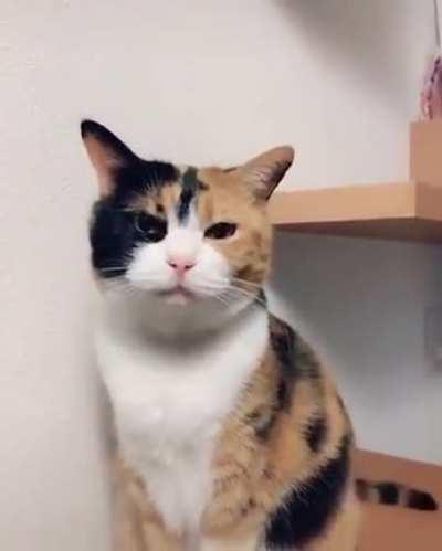 Если нравится тебе, то делай так...