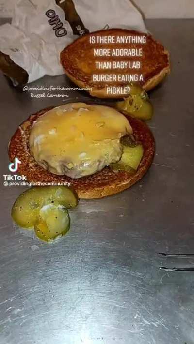 cursed_burger