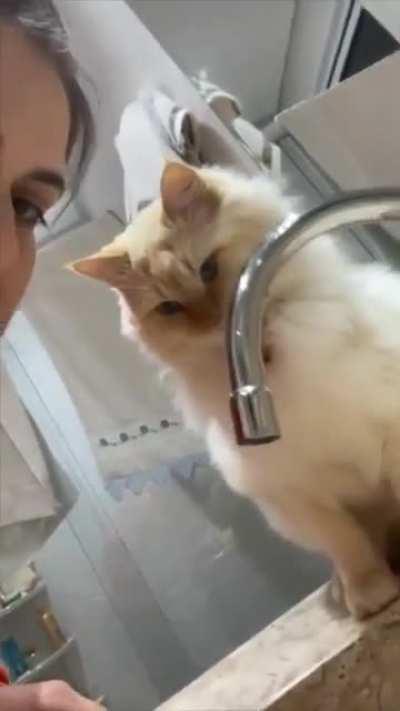 You can’t possibly say that’s not BMF.