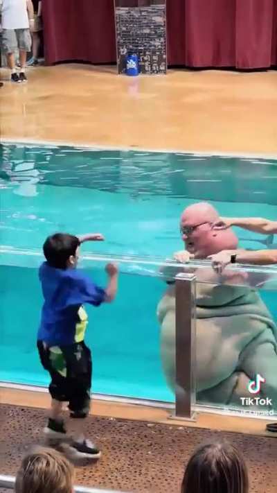 What in the holy hell is this