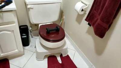 While taking my morning constitutional, something brushed up against me.... from INSIDE THE TOILET. UES NYC