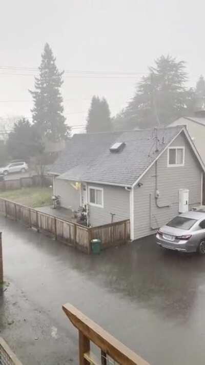 Enjoying a rainy winter day in Seattle. 🌧