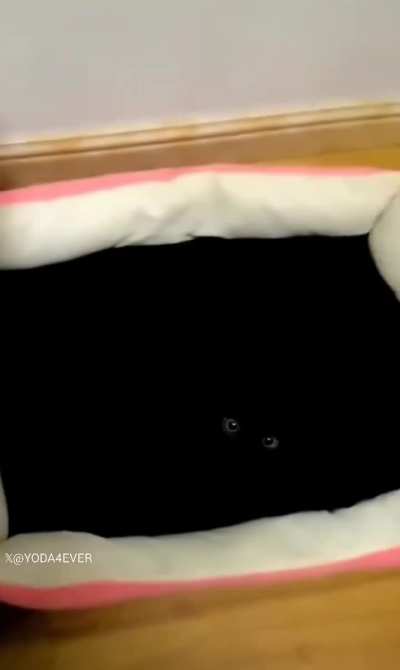 The void consumes everything