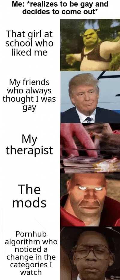 Sorry for the length