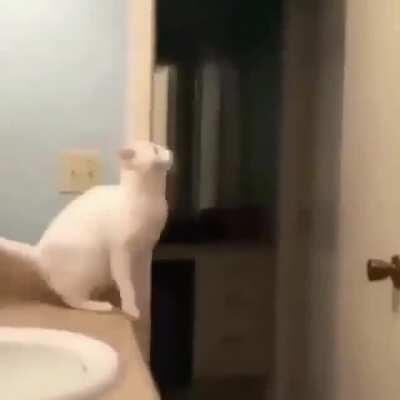 He did the catculations, but man was he bad at math