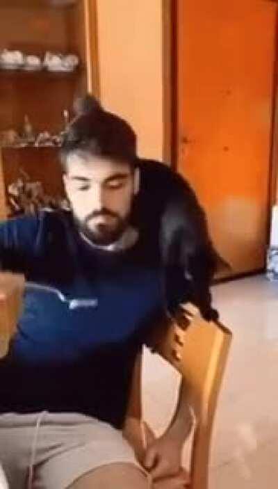 trying to make his cat die inside but...