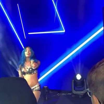Taking a bow to close out WWE Nottingham