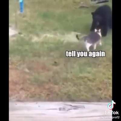 Found a tik tok hopefully jack will like it