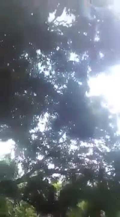 What goes up, comes down