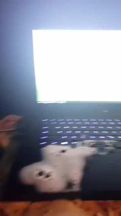 Just gonna crack open a beer right next to my laptop