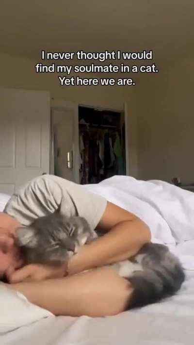 I would never leave my bed