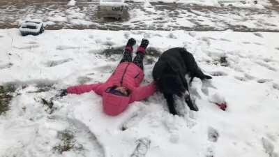 Dash helping his human make snow angels
