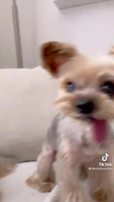 Someone said this belonged here...enjoy