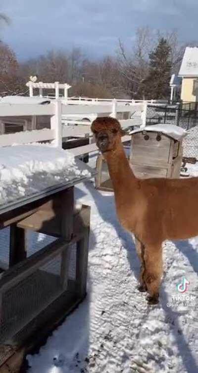 Spat on his face (hopefully)