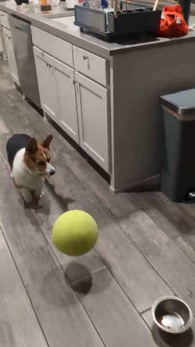 Giant Tennis Ball... He at least cleaned up the mess 