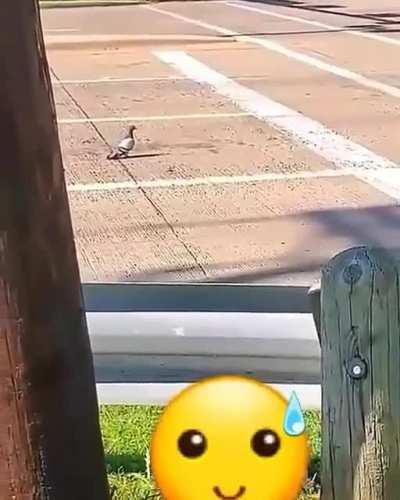 otro crossover peru mexico