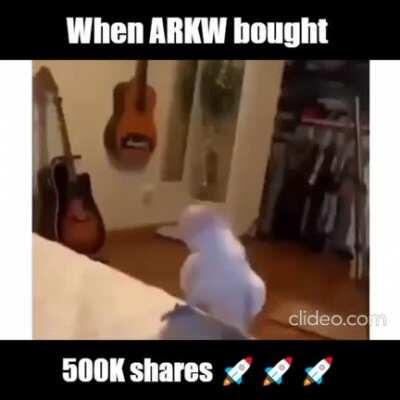 How I feel after ARK bought 500K shares of PLTR 🚀🚀🚀🚀🚀🚀