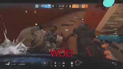 The Life of a Monty Main