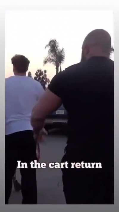 Average cart returner