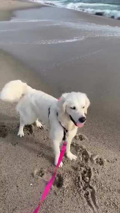 Let's sing together 🐶🎶