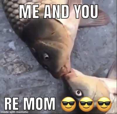 We did it last night in your house then I played on your Xbox