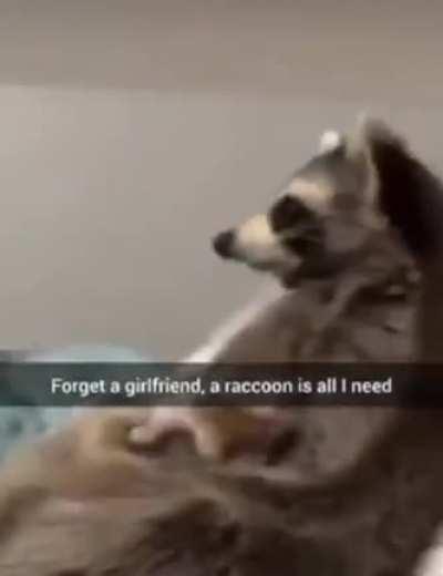 discordVideos - Video #2588