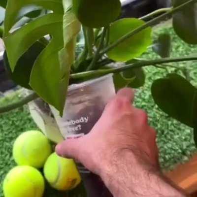 you are not gonna beleaf what happens