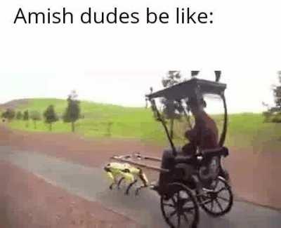 Robo doggo go brrrrrrr