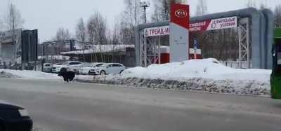 Bear chasing man is thwarted by bus