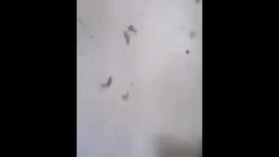 so about that explosion in beirut