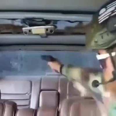 Cursed_manual_of_arms