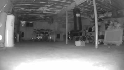 I decided to see if I could catch something in  my basement, motion got triggered at 1:51am and I caught this. Any ideas? (I'm very skeptical of 