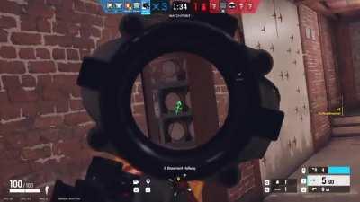 Thinking about going Pro, let me know how much I'm worth.