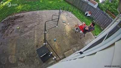 Toast is still learning how her little legs work!