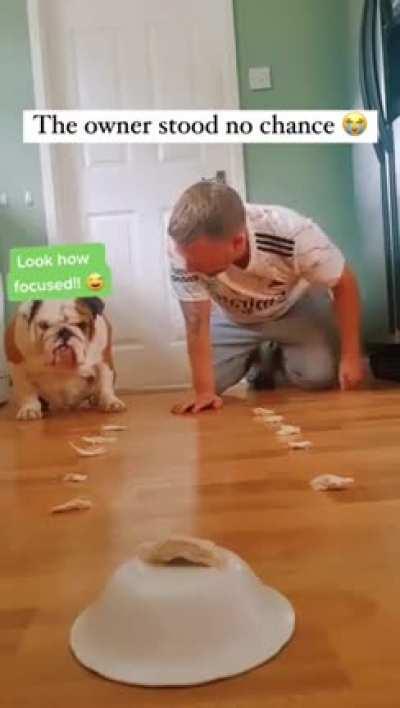 The dog didn’t show any mercy 🐶😂😂