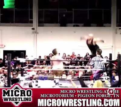 Entertainment for humans