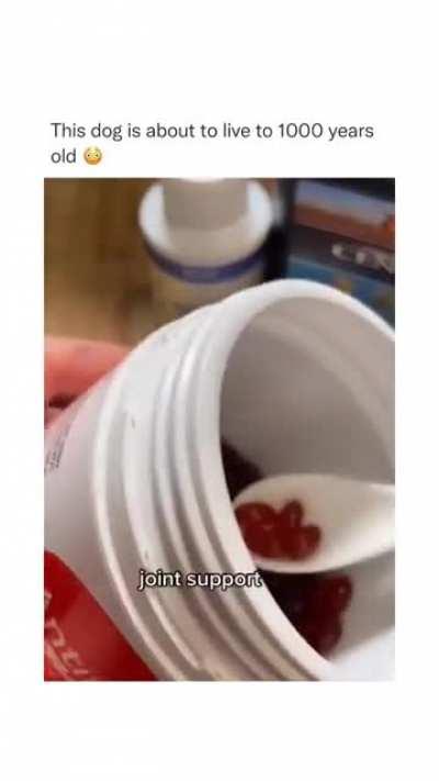 I will be lucky if I get this kind of gourmet food with supplements even once a year!