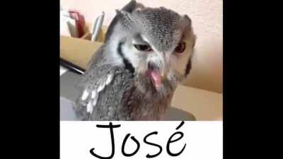 JOSÉ ESTA TE OBSERVANDO