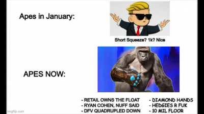 I'm here for the lore.