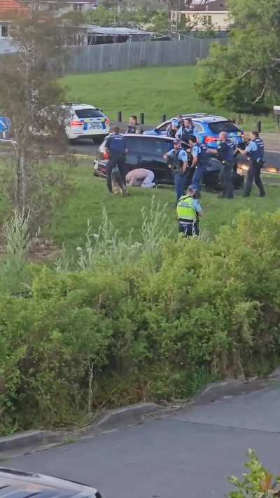 Not so rare freak out in Auckland New Zealand