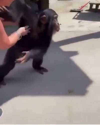 MAMAMCO Wide Peepo Happy