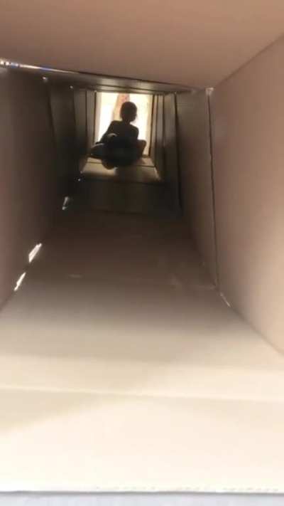 Some cardboard, a little tape and the best roller coaster attendant