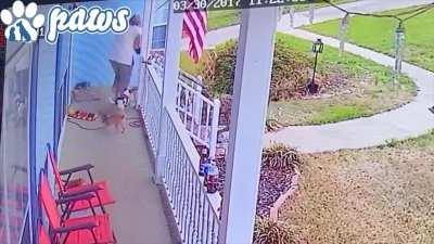 WCGW if I own two great danes that I cannot control?