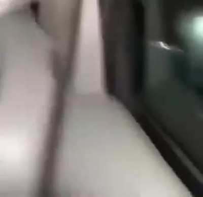 Even Trippe Red told him... 😂