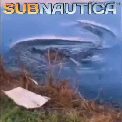 subathonica 🤠🙏🏿