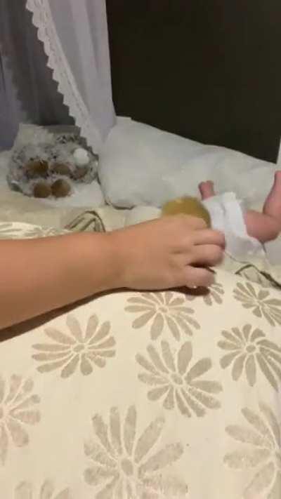 See you in the Fall!