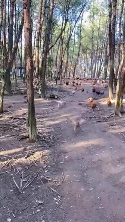 Avengers !!! Assemble!