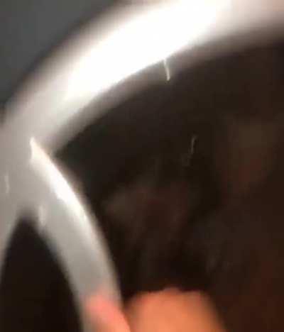 Tonight, On Top Gear...