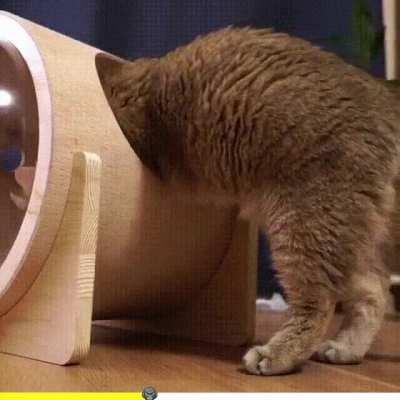 Space shuttle inspector